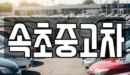 강원특별자치도 속초시 도문동 중고차매매 전문 속초중고차