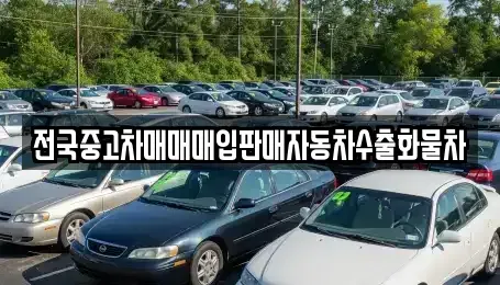 강원특별자치도 속초시 도문동 중고차매입 전문 전국중고차매매매입판매자동차수출화물차