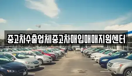강원특별자치도 속초시 도문동 단기렌트카,중고차매입,중고차매매,중고차,렌트카,장기렌트카