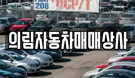 강원특별자치도 영월군 상동읍 중고차,렌트카,중고차매입,중고차매매,장기렌트카,단기렌트카