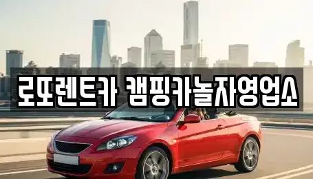 강원특별자치도 원주시 렌트카 전문 로또렌트카 캠핑카놀자영업소