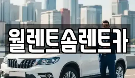 강원특별자치도 원주시 우산동 렌트카 전문 월렌트솜렌트카