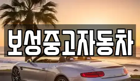 강원특별자치도 원주시 우산동 중고차 전문 보성중고자동차