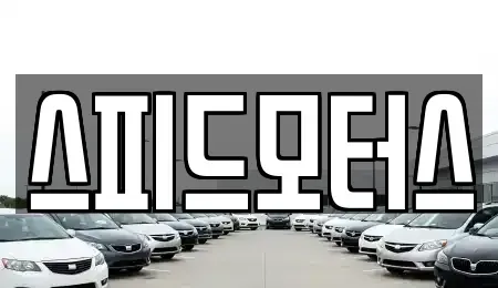 강원특별자치도 원주시 중고차,렌트카,중고차매입,중고차매매,장기렌트카,단기렌트카