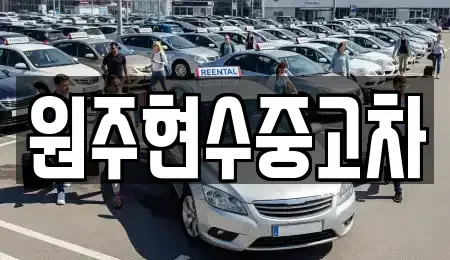 강원특별자치도 원주시 중고차매매 전문 원주현수중고차