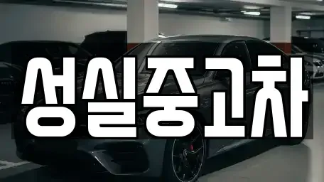 강원특별자치도 원주시 호저면 중고차매매 전문 성실중고차