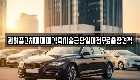 강원특별자치도 정선군 남면 중고차 전문 관허중고차매매매각즉시송금당일이전무료출장견적