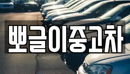 강원특별자치도 정선군 남면 중고차 전문 뽀글이중고차