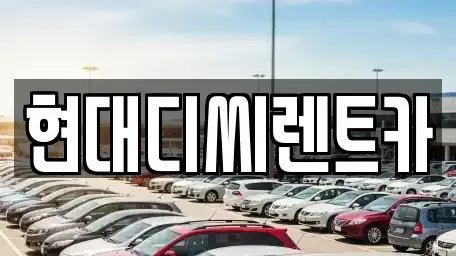 강원특별자치도 철원군 동송읍 렌트카 전문 현대디씨렌트카