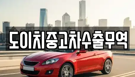 강원특별자치도 철원군 동송읍 중고차매매 전문 도이치중고차수출무역