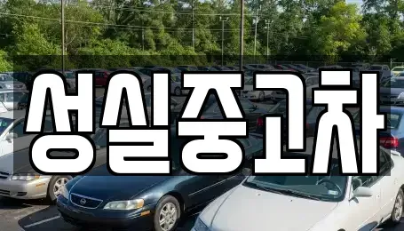 강원특별자치도 철원군 동송읍 중고차매매 전문 성실중고차