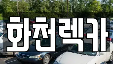 강원특별자치도 화천군 화천읍 렌트카 전문 화천렉카