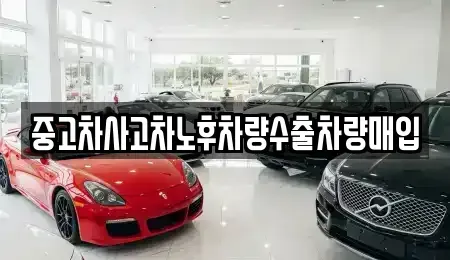 강원특별자치도 화천군 화천읍 중고차매입 전문 중고차사고차노후차량수출차량매입