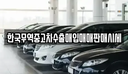 강원특별자치도 화천군 화천읍 중고차매입 전문 한국무역중고차수출매입매매판매시세