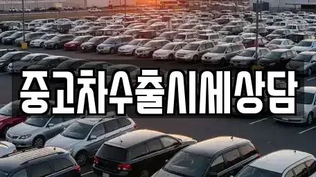 강원특별자치도 횡성군 청일면 중고차매매 전문 중고차수출시세상담