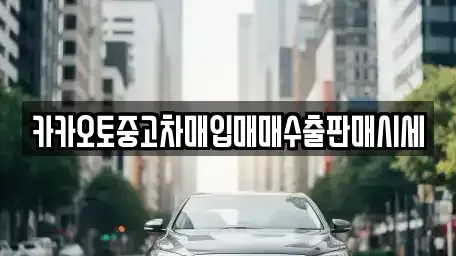 경기 가평군 북면 중고차 전문 카카오토중고차매입매매수출판매시세