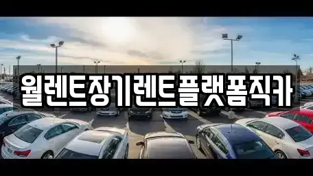 경기 가평군 장기렌트카 전문 월렌트장기렌트플랫폼직카