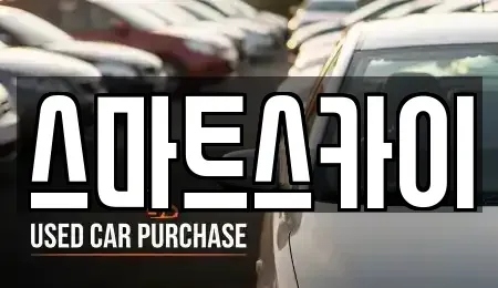 경기 고양시 일산동구 백석동 렌트카 전문 스마트스카이