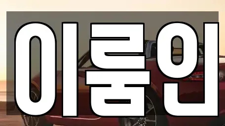 경기 고양시 일산동구 백석동 장기렌트카 전문 이룸인
