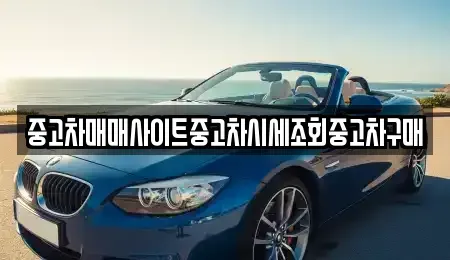 경기 고양시 일산동구 백석동 중고차매매 전문 중고차매매사이트중고차시세조회중고차구매