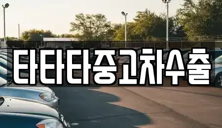 경기 고양시 일산동구 백석동 중고차매매 전문 타타타중고차수출