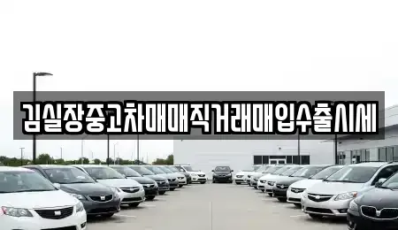 경기 고양시 일산동구 백석동 중고차매입 전문 김실장중고차매매직거래매입수출시세