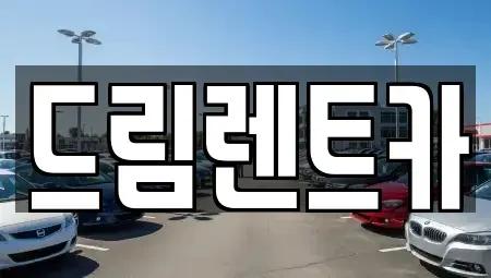 경기 과천시 부림동 렌트카 전문 드림렌트카