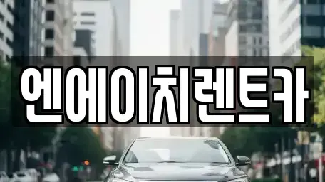 경기 과천시 부림동 렌트카 전문 엔에이치렌트카