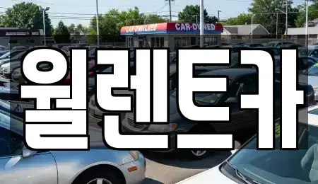 경기 과천시 부림동 렌트카 전문 월렌트카
