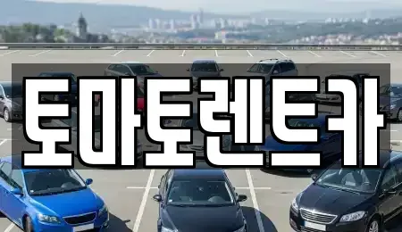 경기 과천시 부림동 렌트카 전문 토마토렌트카