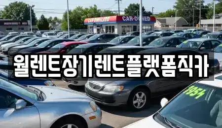 경기 과천시 부림동 장기렌트카 전문 월렌트장기렌트플랫폼직카