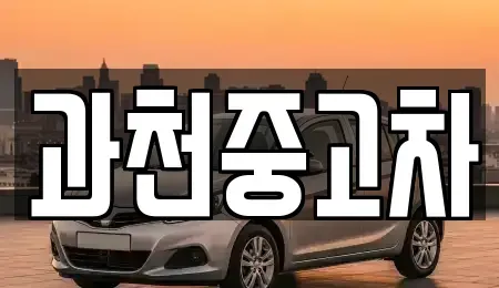 경기 과천시 부림동 중고차 전문 과천중고차