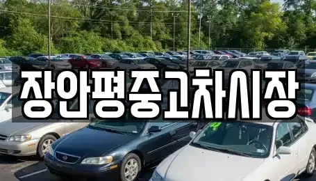 경기 과천시 부림동 중고차 전문 장안평중고차시장
