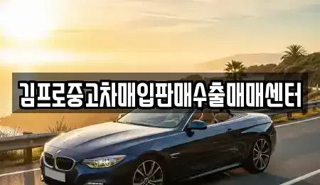 경기 과천시 부림동 중고차매입 전문 김프로중고차매입판매수출매매센터