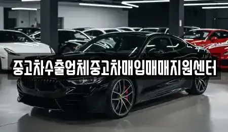 경기 과천시 부림동 중고차매입 전문 중고차수출업체중고차매입매매지원센터