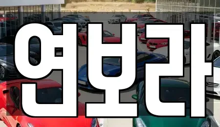경기 동두천시 생연동 렌트카 전문 연보라