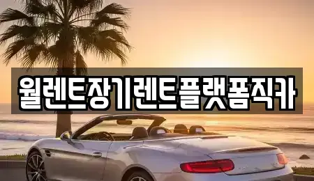 경기 동두천시 생연동 장기렌트카 전문 월렌트장기렌트플랫폼직카