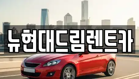 경기 성남시 분당구 동원동 렌트카 전문 뉴현대드림렌트카