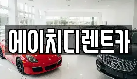 경기 성남시 분당구 동원동 렌트카 전문 에이치디렌트카