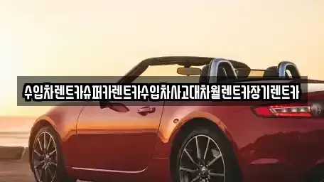 경기 성남시 분당구 동원동 장기렌트카,중고차,렌트카,단기렌트카,중고차매입,중고차매매