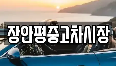 경기 성남시 분당구 동원동 중고차 전문 장안평중고차시장