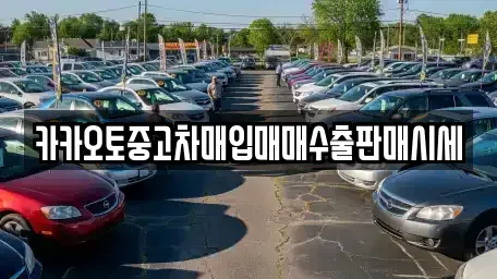 경기 성남시 분당구 동원동 중고차 전문 카카오토중고차매입매매수출판매시세