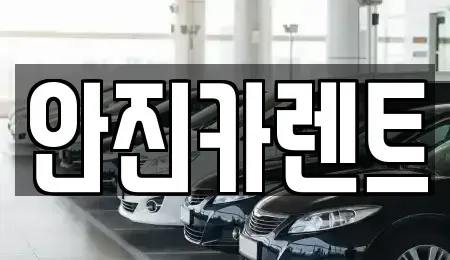경기 수원시 권선구 입북동 장기렌트카 전문 안진카렌트