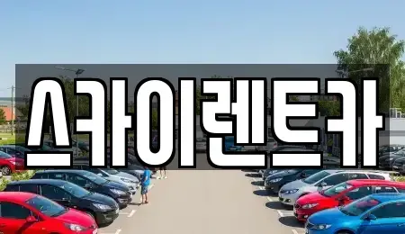 경기 수원시 장안구 율전동 장기렌트카 전문 스카이렌트카