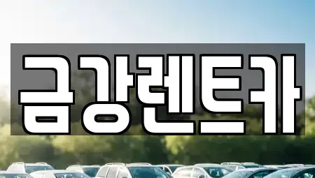 경기 수원시 장안구 조원동 렌트카 전문 금강렌트카