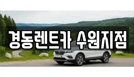경기 수원시 장안구 조원동 장기렌트카 전문 경동렌트카 수원지점