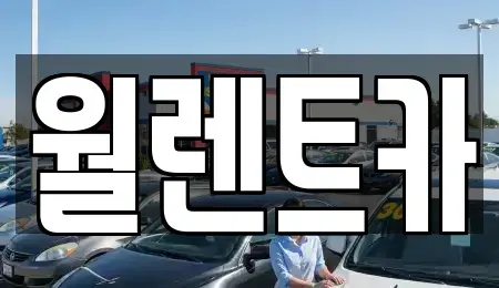 경기 안성시 신소현동 렌트카 전문 월렌트카