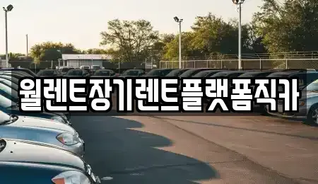 경기 안성시 신소현동 장기렌트카 전문 월렌트장기렌트플랫폼직카