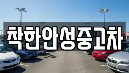 경기 안성시 신소현동 중고차 전문 착한안성중고차