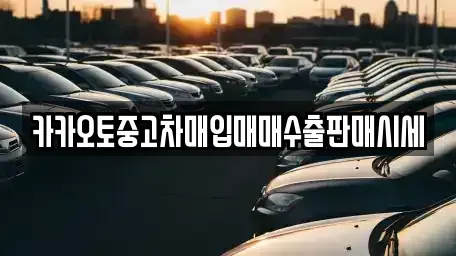 경기 안성시 신소현동 중고차매입 전문 카카오토중고차매입매매수출판매시세
